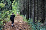 Free Images : tree, path, wilderness, walking, girl, woman, trail, fall ...
