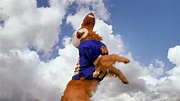 Air Bud 2: Golden Receiver (1998) ORIGINAL TRAILER [HD] - YouTube