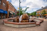 The Best Things to Do in Fort Collins, Colorado