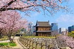 10 Best Things to Do in Fukuoka - What to Do in Fukuoka? - Go Guides