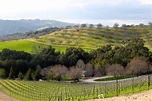 Paso Robles, California Opolo winery view Paso Robles Wineries ...
