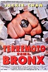 Terremoto nel Bronx (1995) | FilmTV.it