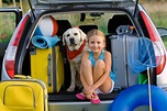 How to Take a Pet Friendly Vacation