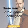 45 Best Obi Wan Quotes On Success, Failure, And Not Giving Up