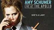 Las mejores películas de Amy Schumer