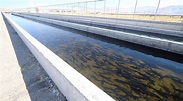 California Fish Hatcheries Reopen to the Public – The Log