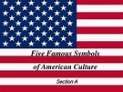5 famous symbols of America_文档下载