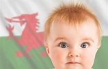List of 222 Welsh Baby Names | LoveToKnow