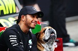 Lewis Hamilton, biography of the F1 driver fighting for the planet ...