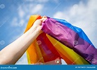 Una Mujer Agarrando La Bandera LGBT En Su Mano En Un Gesto De ...