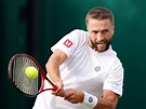 Liam Broady proving his worth after stunning Hubert Hurkacz in men’s ...