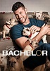 The Bachelor Season 10 - watch full episodes streaming online