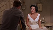 1958 – Cat on a Hot Tin Roof – Academy Award Best Picture Winners