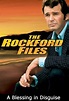 The Rockford Files: A Blessing in Disguise (1995) — The Movie Database ...