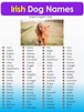 200+ Irish Dog Names (Male, Female, Pups) With Meanings – EngDic