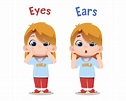 Premium Vector | Cute children characters pointing ears and eyes