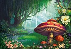 Enchanted Forest Wallpapers - Top Những Hình Ảnh Đẹp