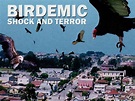 Birdemic: Shock and Terror (2008) - Rotten Tomatoes