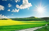A Beautiful Sunny Day HD wallpaper