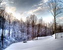 Escenas Hermosas del invierno - The Beauty of Winter | Fotos e Imágenes ...