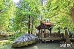 日式庭院藏落羽松祕境！7000坪豪宅花園免費逛 - 景點+