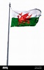 Welsh Flag, Wales, United Kingdom Stock Photo - Alamy