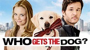 Is Movie 'Who Gets the Dog? 2016' streaming on Netflix?