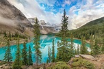 10 National Park Experiences to Have in Alberta, Canada