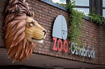 Löwe greift Pflegerin im Zoo Osnabrück an | WEB.DE