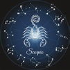 Skorpion - znak zodiaku jesieni. Charakterystyka - jakie są skorpiony ...