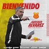 Gustavo Álvarez tiene nuevo club en Perú - IAM Noticias - Agencia de ...