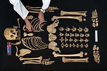Maya bones bring a lost civilization to life