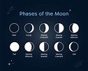 Phases of the Moon: October and November - CPRE Avon and Bristol