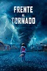 Ver Frente al tornado (2021) Online - CUEVANA 3