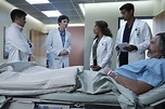 The Good Doctor Cast on ABC 2017 with Freddie Highmore | Heavy.com