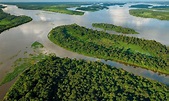 What Is Special About The Congo River Including Its Map and Animals