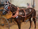 Historic Horse Harness-Antique Brown - Hansen Wheel and Wagon Shop