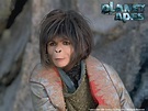 Planet Of The Apes Original Female Ape