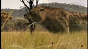 Smilodon - Walking With Wikis - the free Walking with... encyclopedia