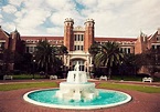 University of Florida Guide [Admission Overview] - Ivy Scholars