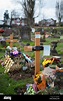 Willesden New Cemetery in North London Stock Photo - Alamy