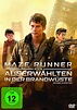 Maze Runner - Die Auserwählten in der Brandwüste DVD: Amazon.de: Dylan ...