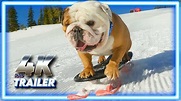POWDER PUP | Official Trailer (4K) - YouTube