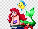 THe Little Mermaid Ariel illustration, Ariel Scuttle The Walt Disney ...