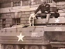 This photo shows Gen. Patton's dog Willie after the general's death