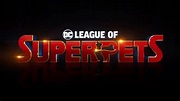 DC League of Super-Pets: Release date, trailer and plot | Marca
