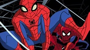 Ranking the Spider-Man Animated Series - IGN