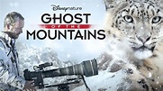 Watch Disneynature: Ghost of the Mountains | Full movie | Disney+