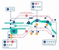 Terminal 4s aeropuerto madrid | Actualizado noviembre 2022