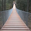 Puente colgantes | Puente colgante, Puentes, Muro de escalar